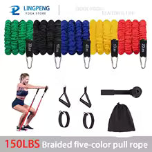 Widerstandsband-Set 5 Röhren mit Türanker - Komplettes Home-Gym Training Set