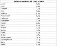 More Nutrition Total Vegan Protein 600g - Pflanzliches Proteinpulver