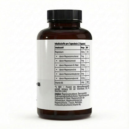 Magnesium 6x Komplex + B6 - 120 vegane Kapseln